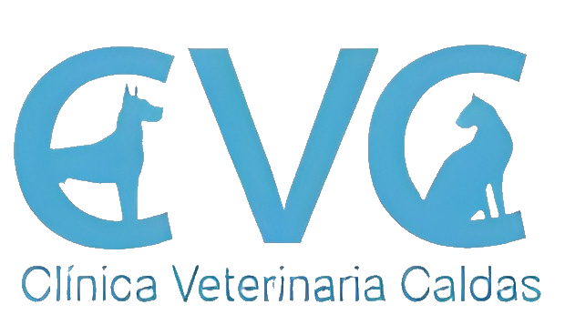 Clinica Veterianaria Caldas